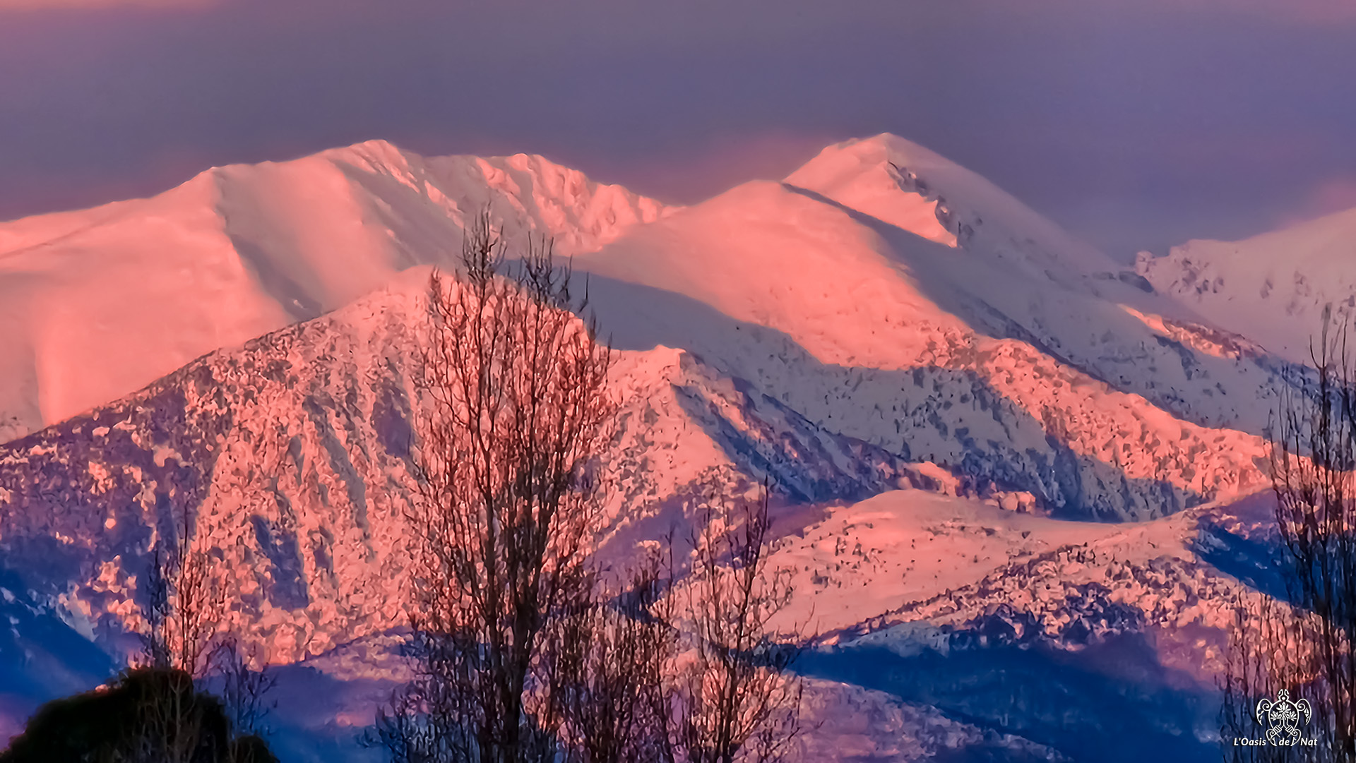 LOASISDENAT_fevrierr2026_003