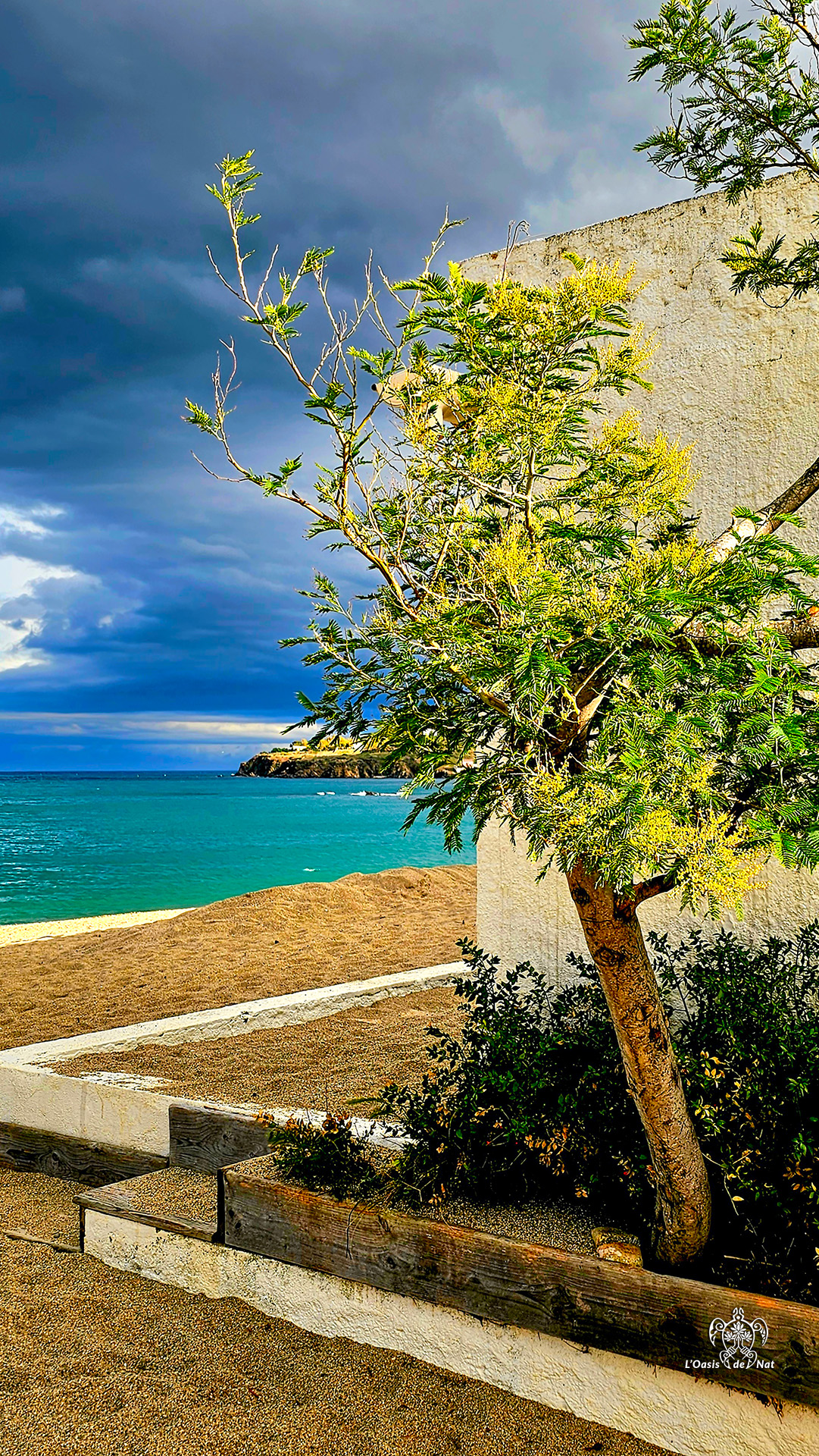 LOASISDENAT_fevrierr2026_009