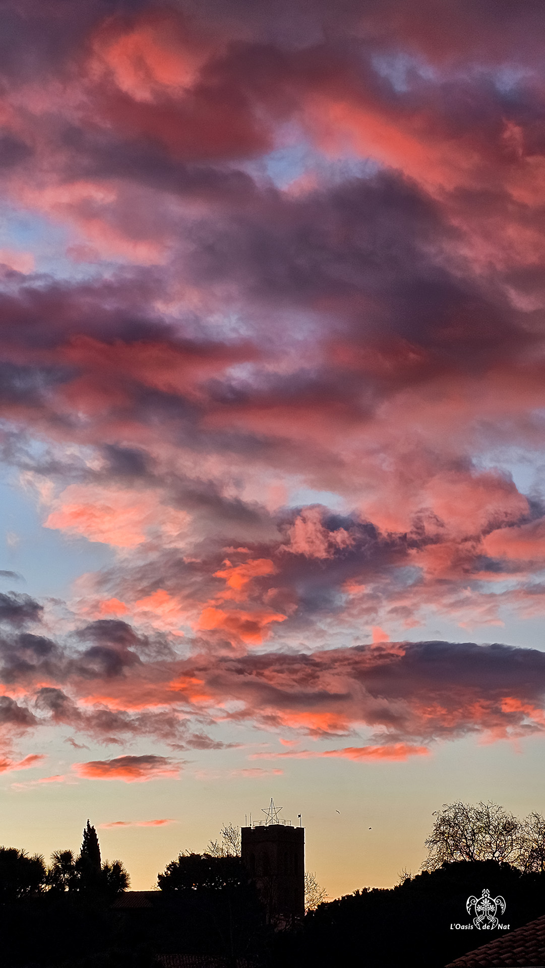 LOASISDENAT_fevrierr2026_012