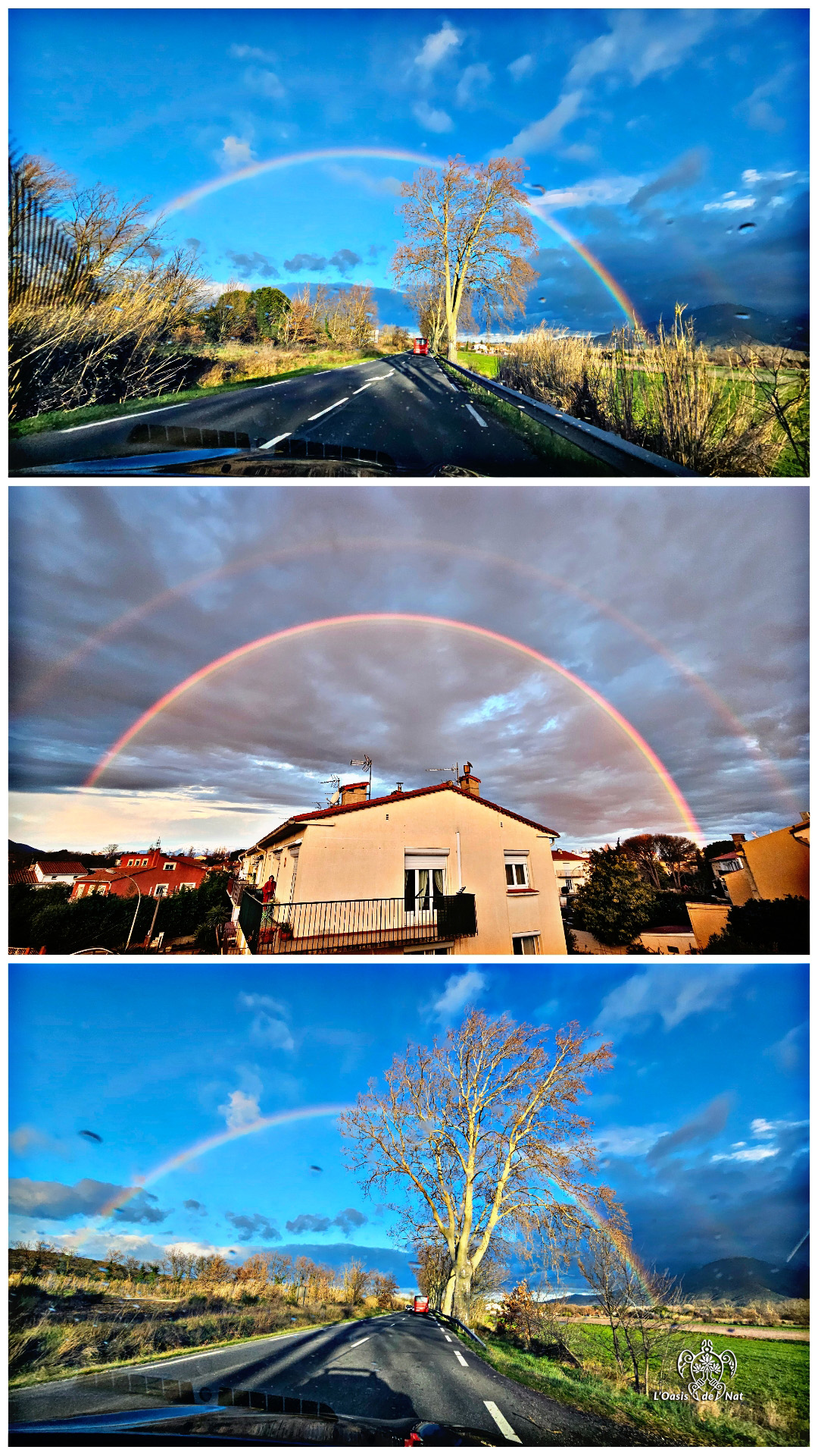 LOASISDENAT_fevrierr2026_013