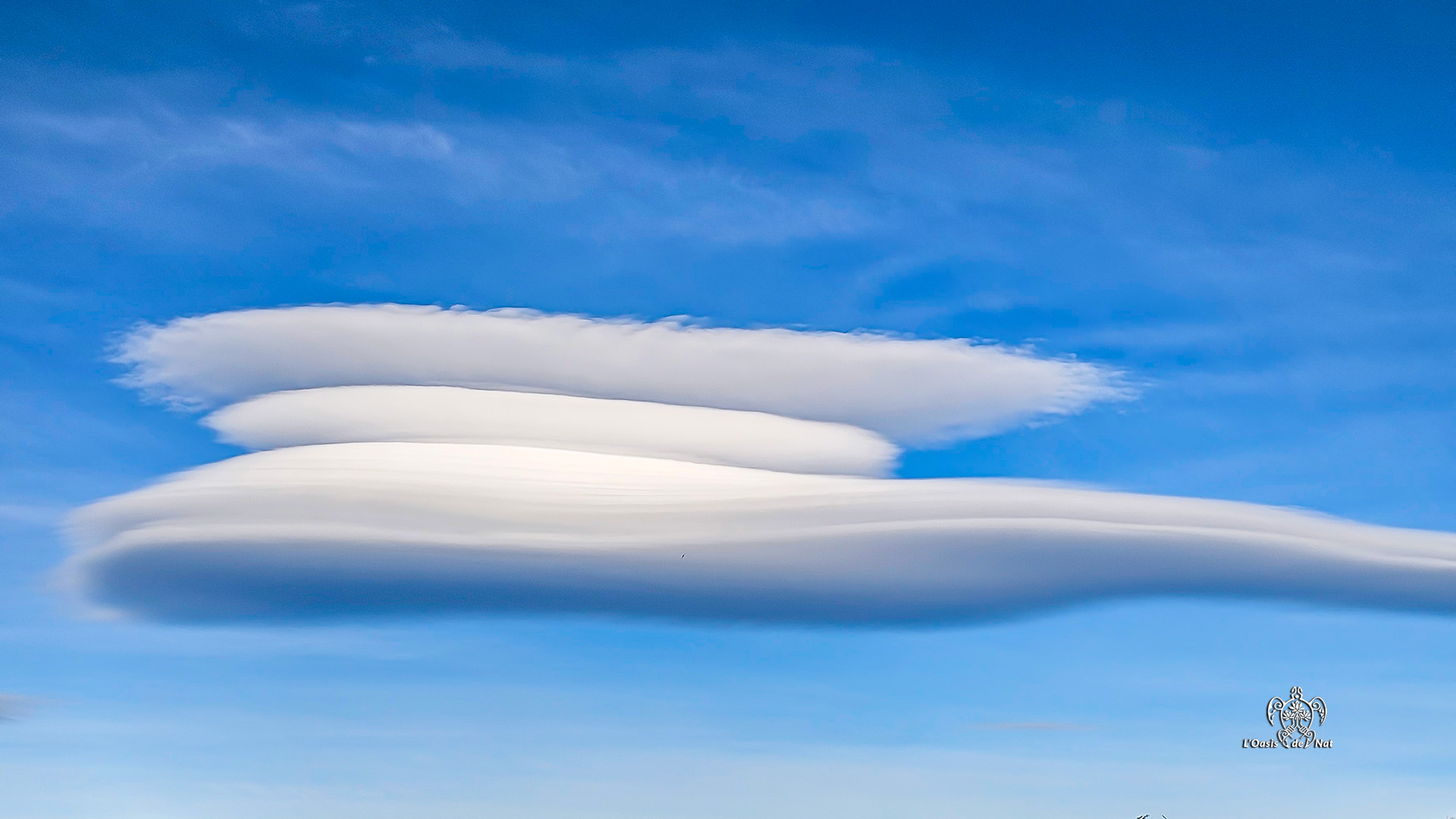 LOASISDENAT_fevrierr2026_017