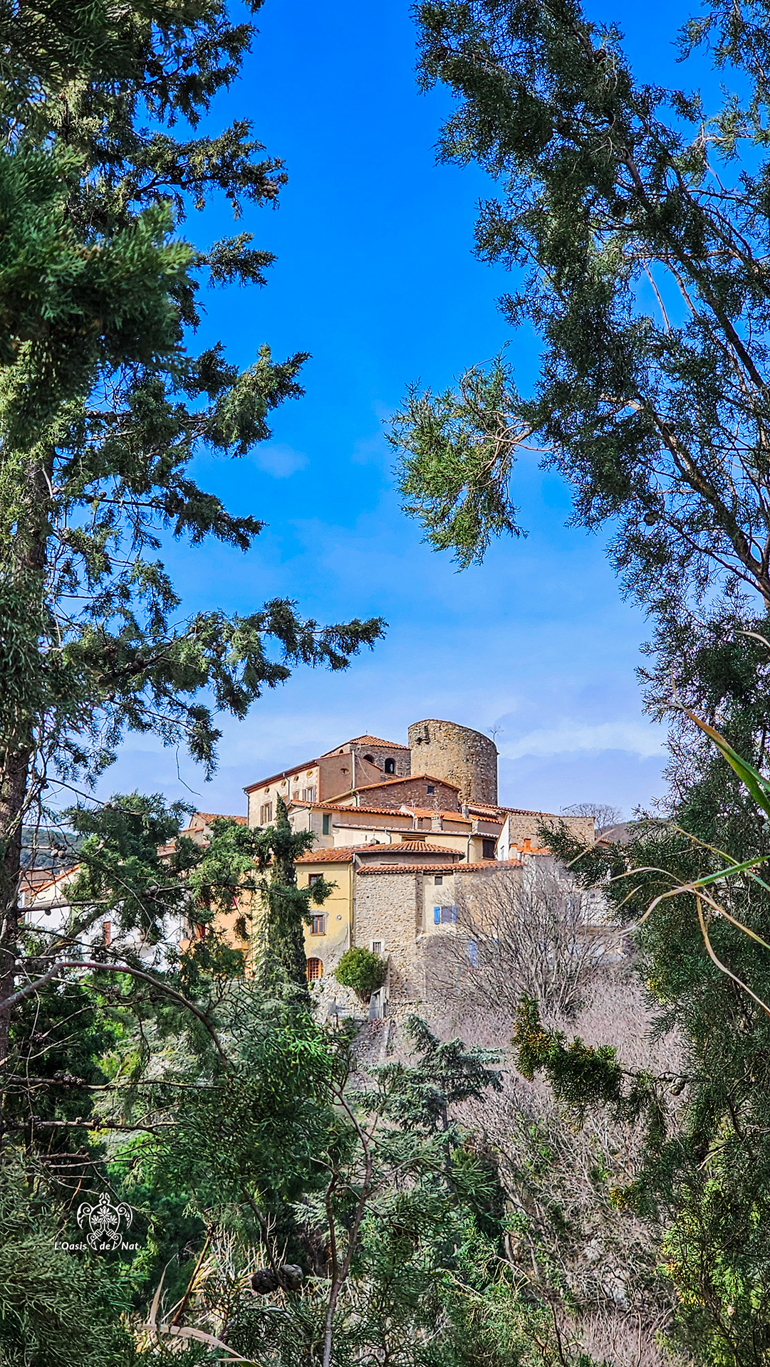 LOASISDENAT_fevrierr2026_019