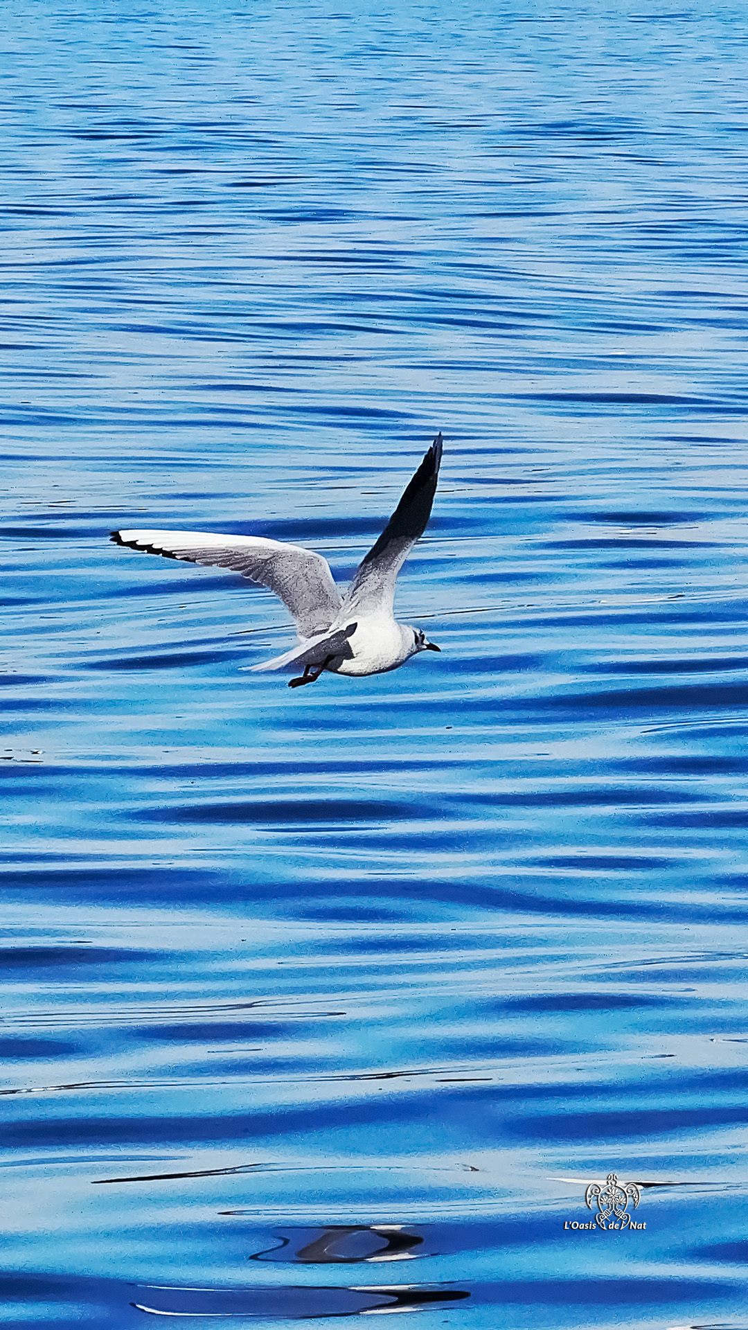 LOASISDENAT_fevrierr2026_023