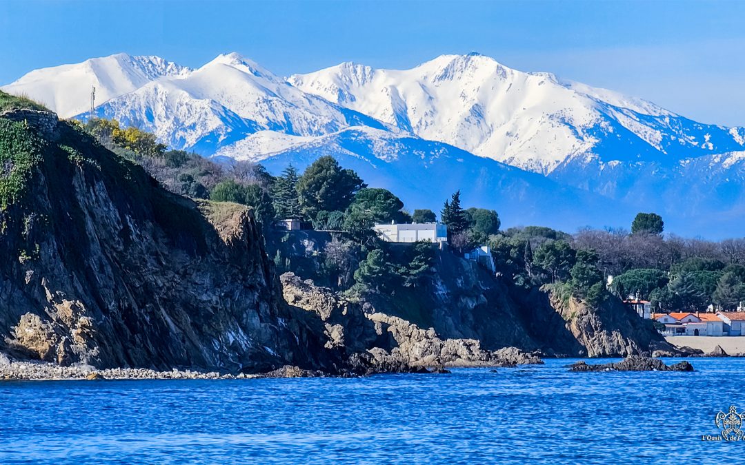 Humeurs du mois – Février en rafales