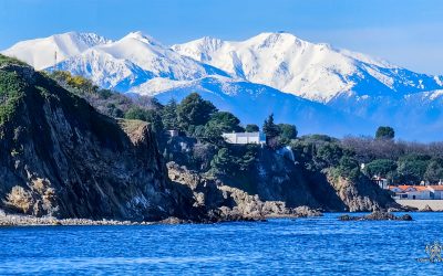 Humeurs du mois – Février en rafales