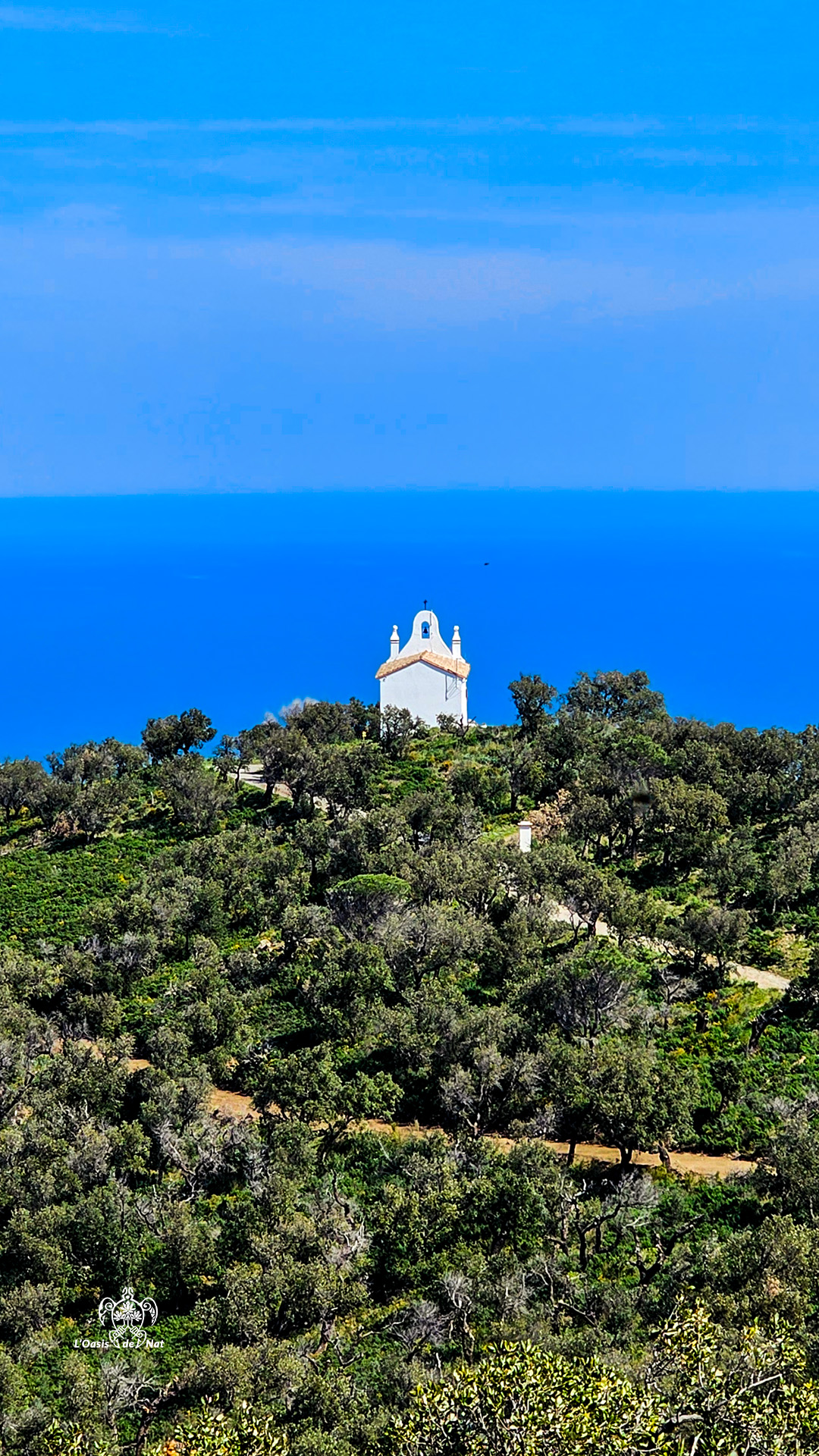 2026_03_HUMEURS DU MOIS_BANYULS_ND de la Salette_02
