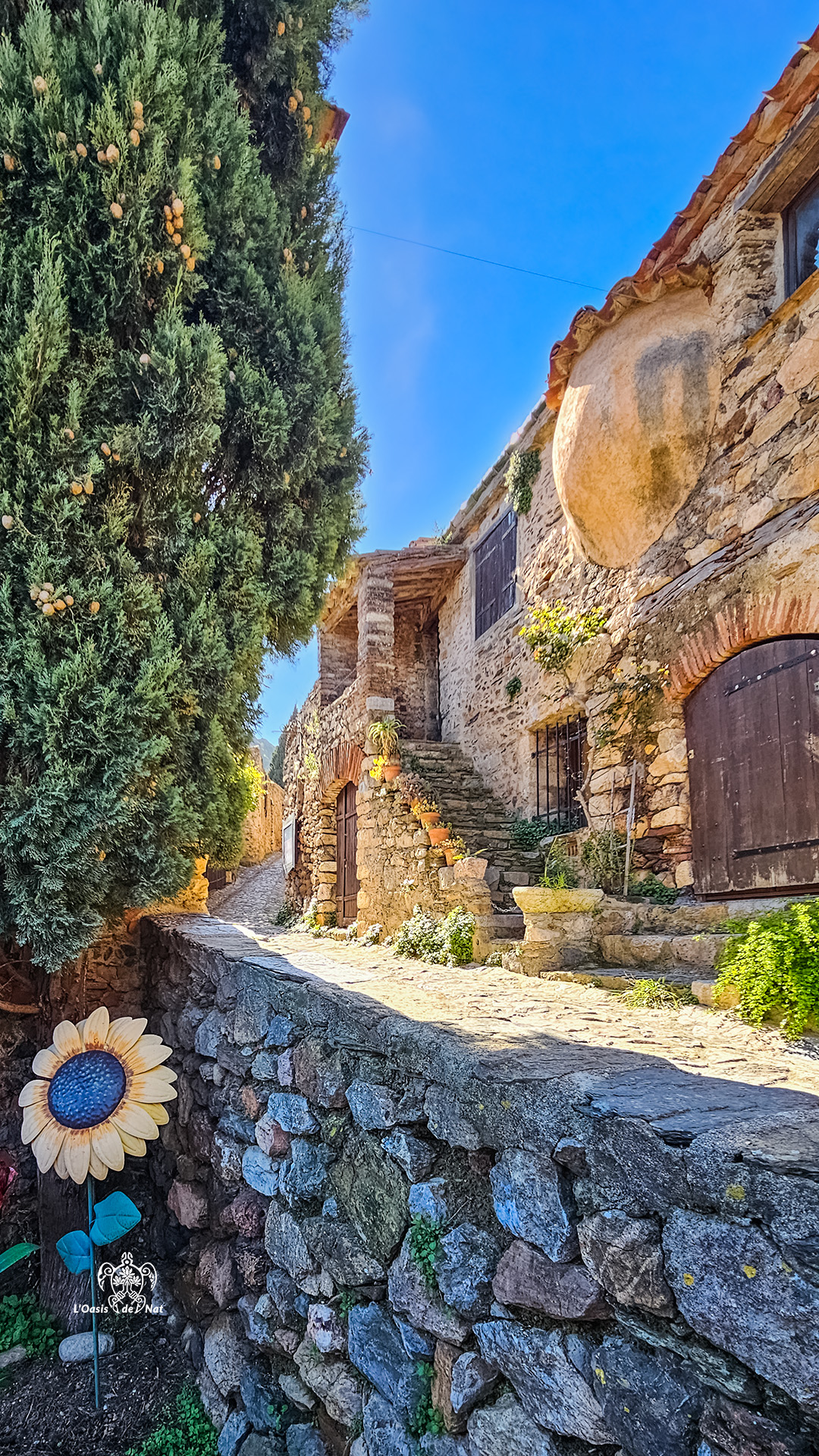 2026_03_HUMEURS DU MOIS_CASTELNOU_03