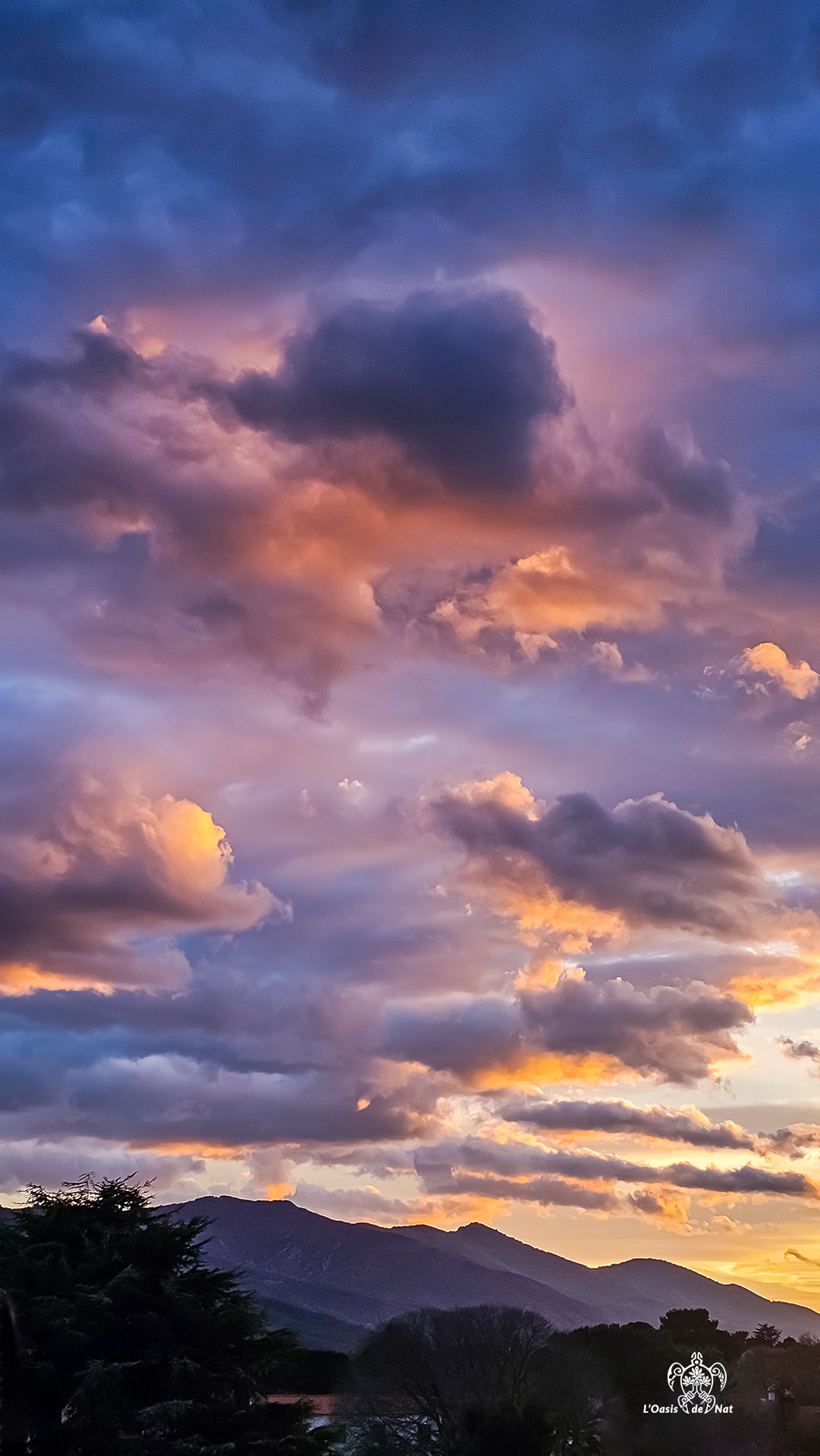 2026_03_HUMEURS DU MOIS_LE CIEL_03