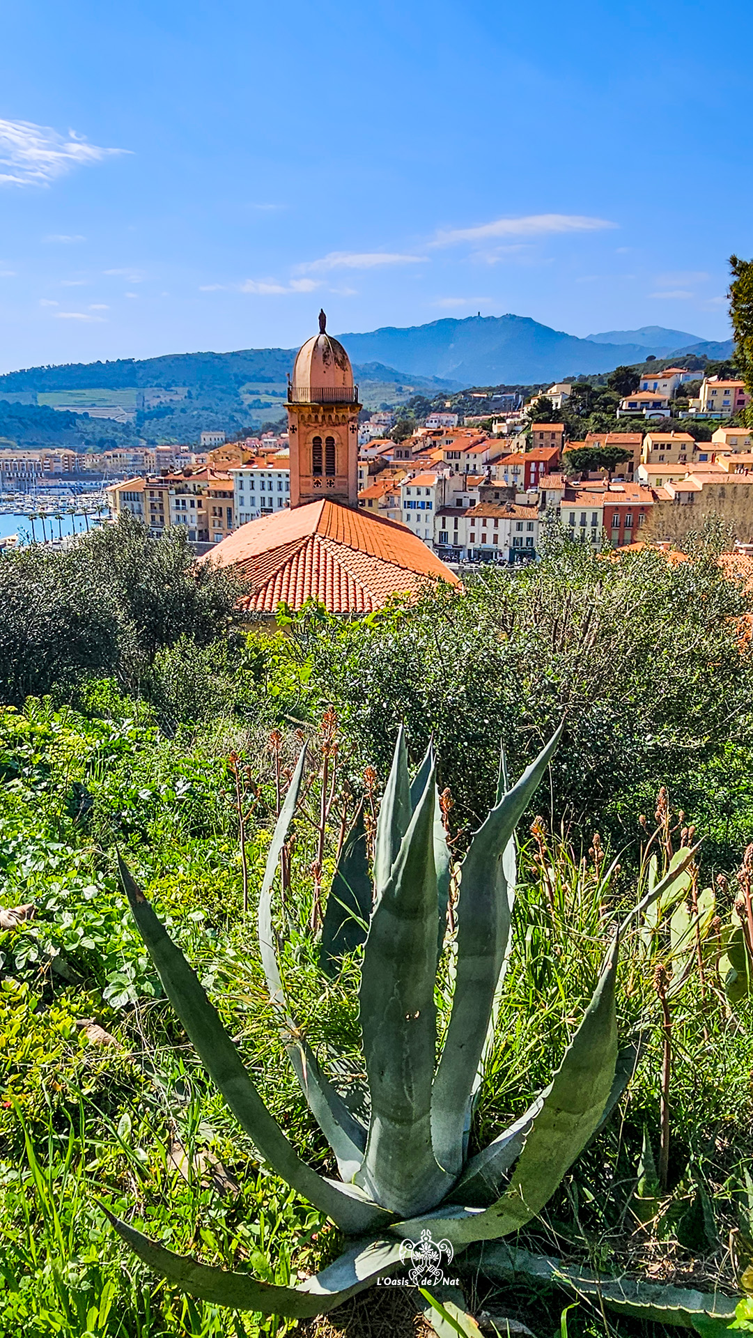 2026_03_HUMEURS DU MOIS_PORT VENDRES_02