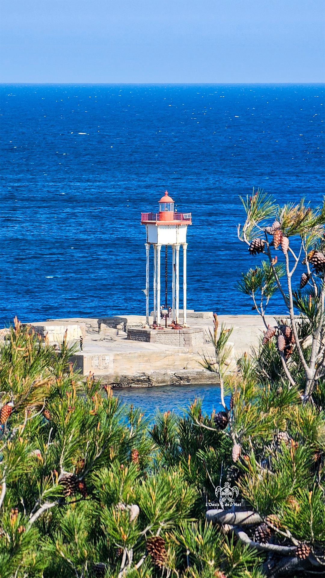 2026_03_HUMEURS DU MOIS_PORT VENDRES_04