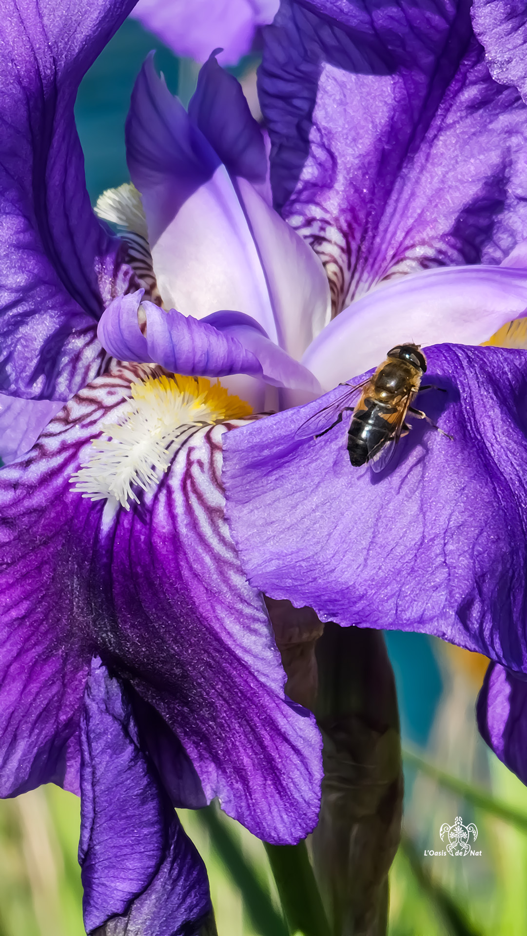 2026_03_HUMEURS DU MOIS_PRINTEMPS_03