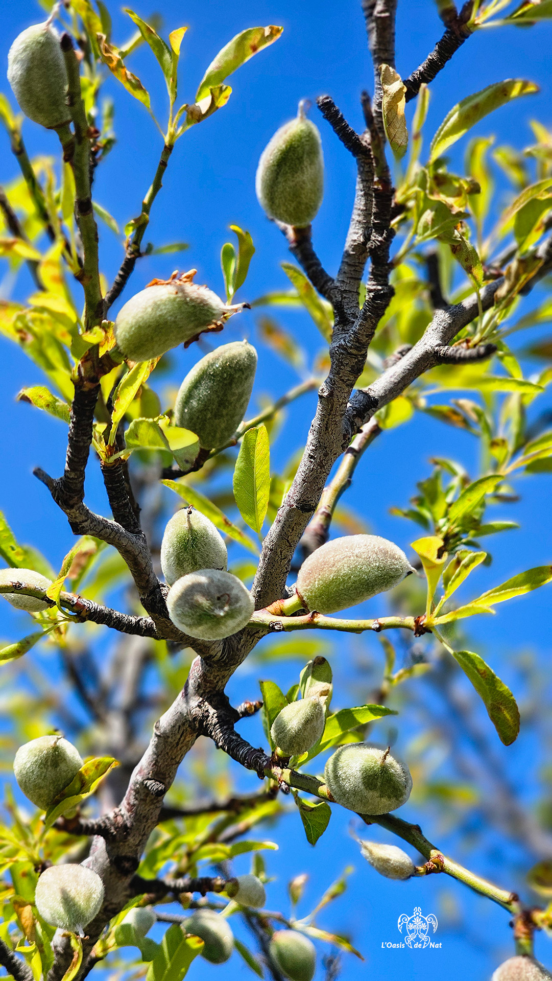 2026_03_HUMEURS DU MOIS_PRINTEMPS_04