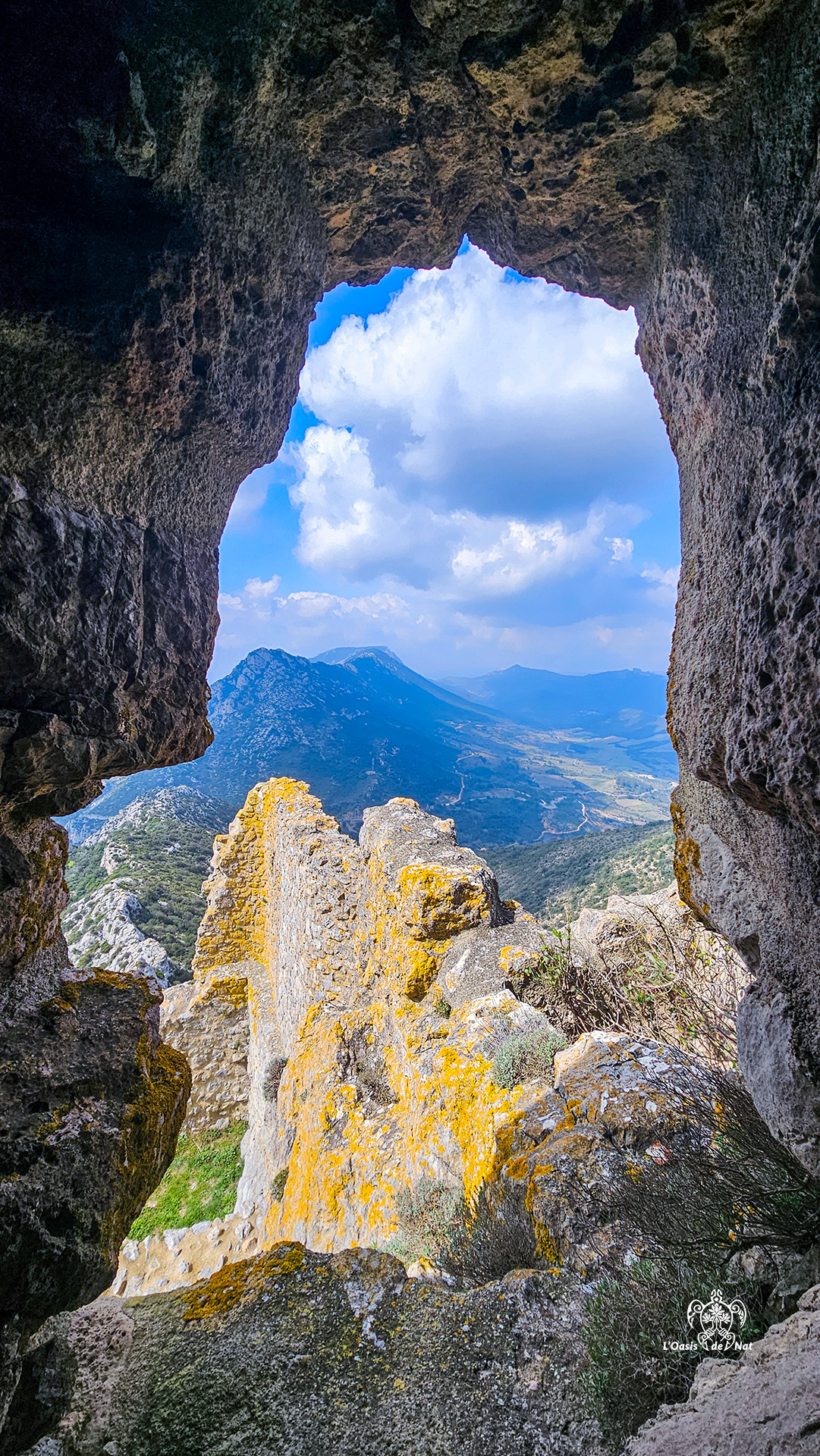 2026_03_HUMEURS DU MOIS_QUERIBUS_02