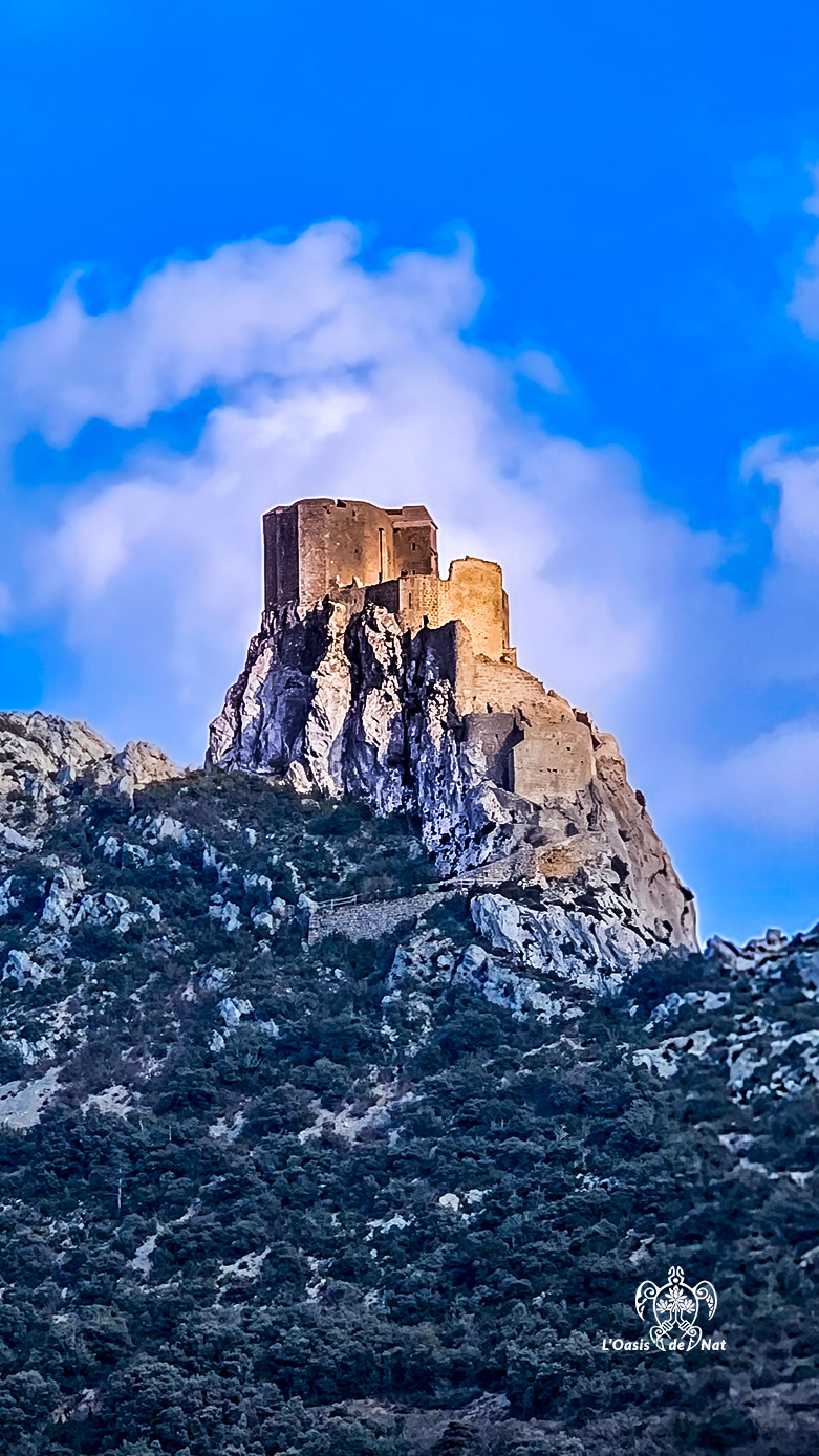 2026_03_HUMEURS DU MOIS_QUERIBUS_03