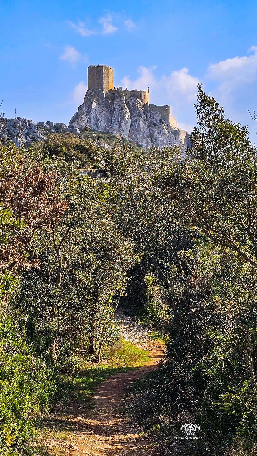 2026_03_HUMEURS DU MOIS_QUERIBUS_04