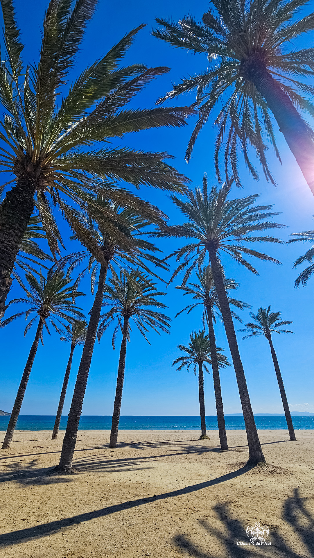 2026_03_HUMEURS DU MOIS_ROSAS_02