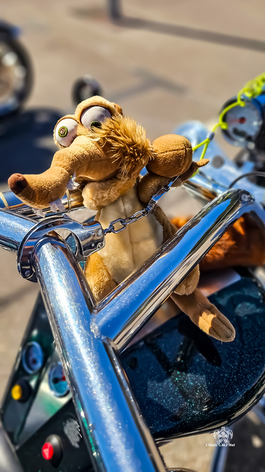 2026_04_FETE AMERICAINE ARGELES_15