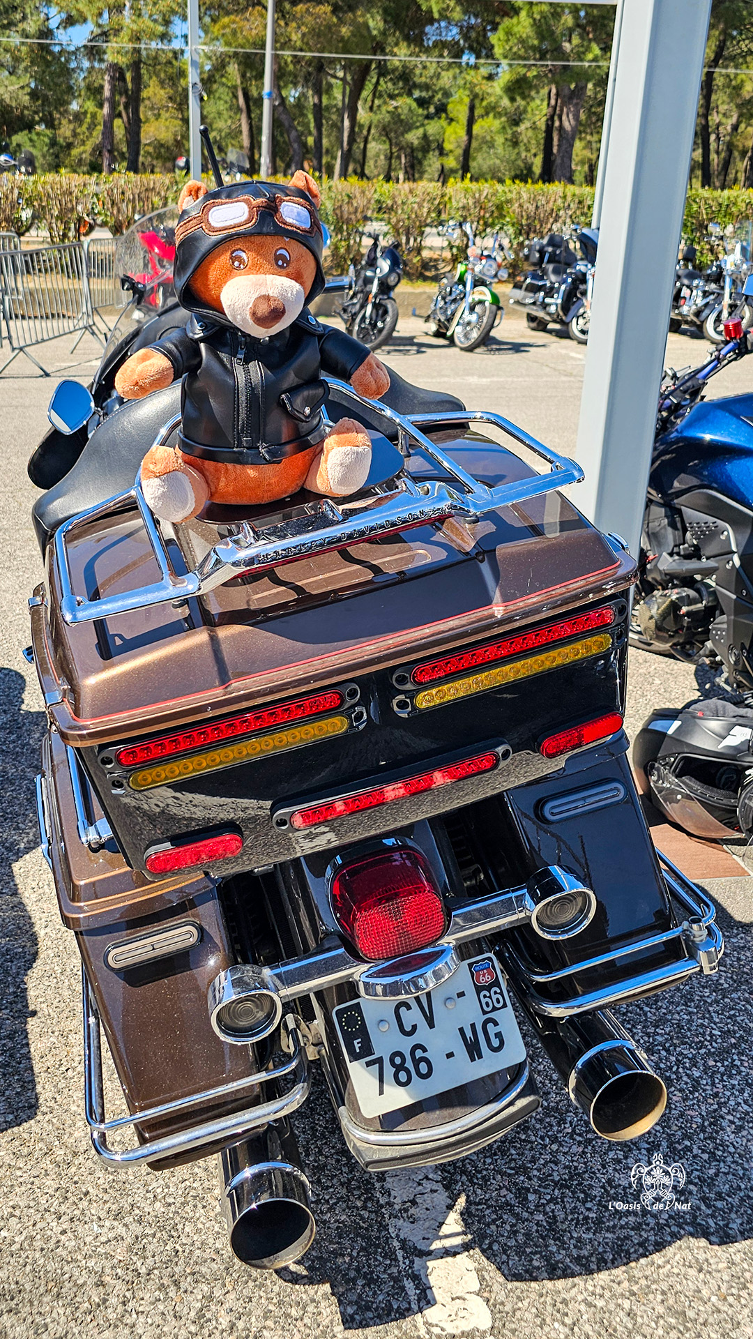 2026_04_FETE AMERICAINE ARGELES_16