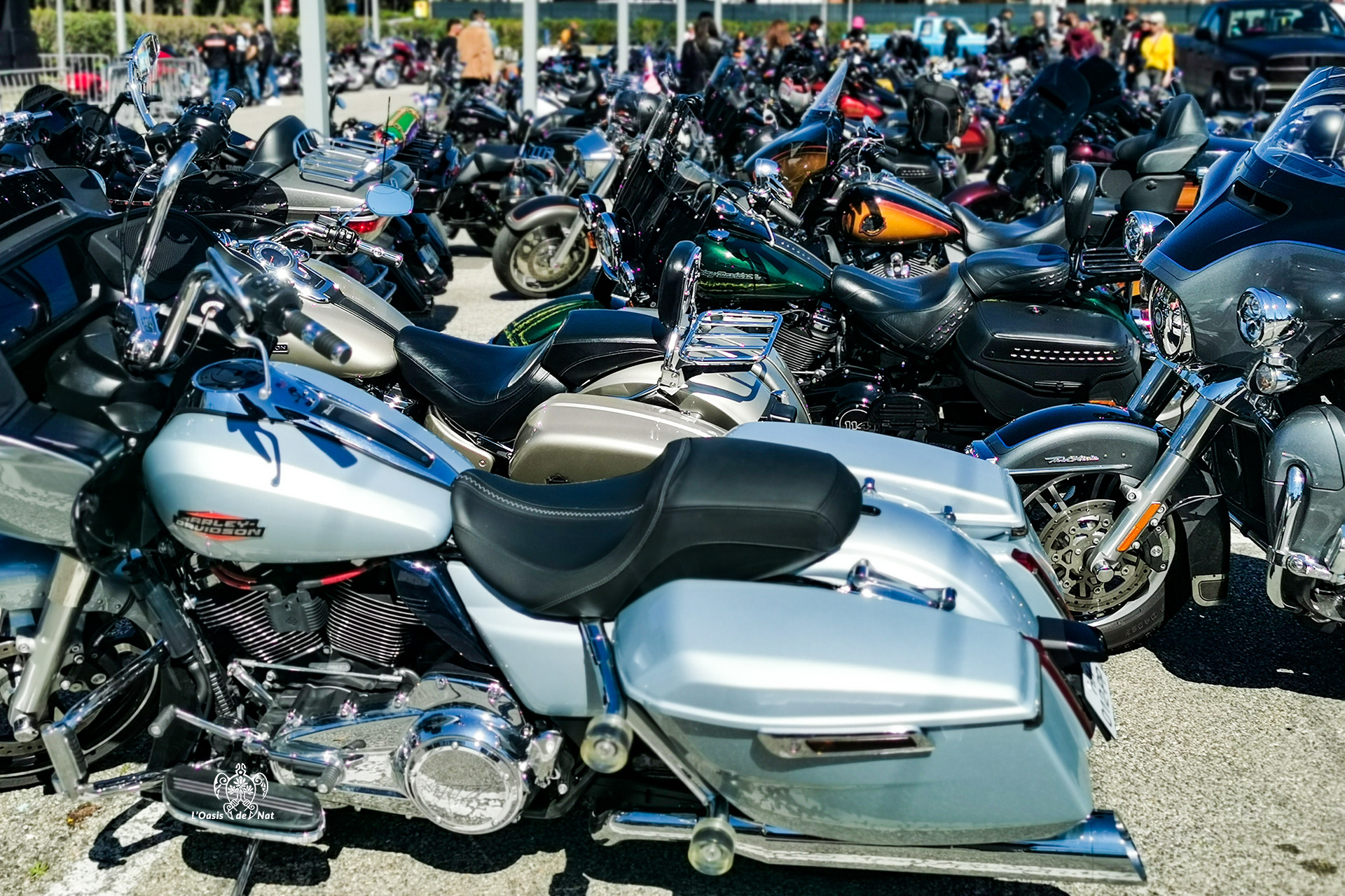 2026_04_FETE AMERICAINE ARGELES_17