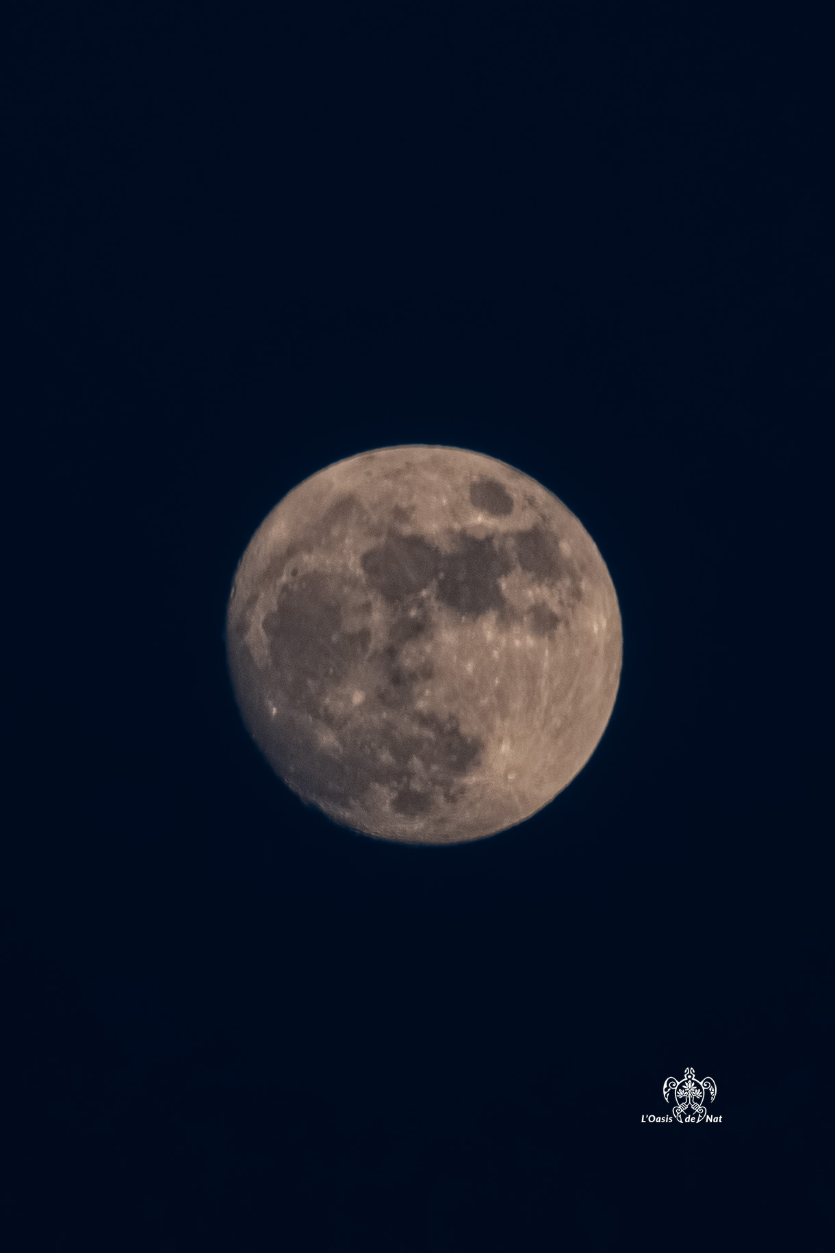 Lune de mai 2026_01