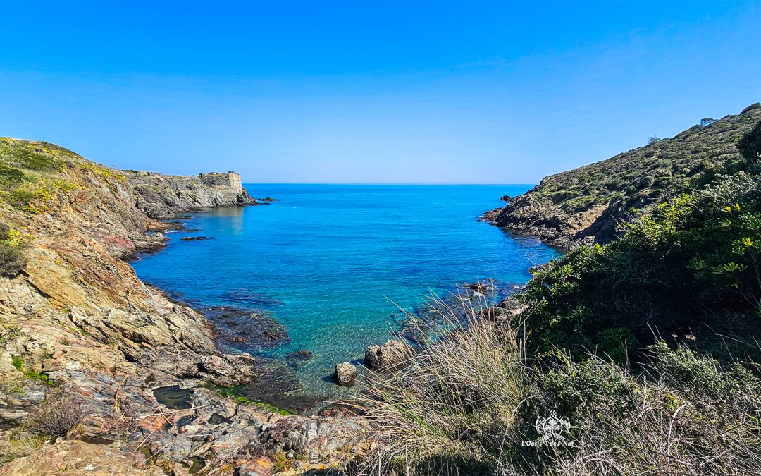 Carnet d’été 2026 – Ep 3 – Anse et Fort de la Mauresque – Port Vendres