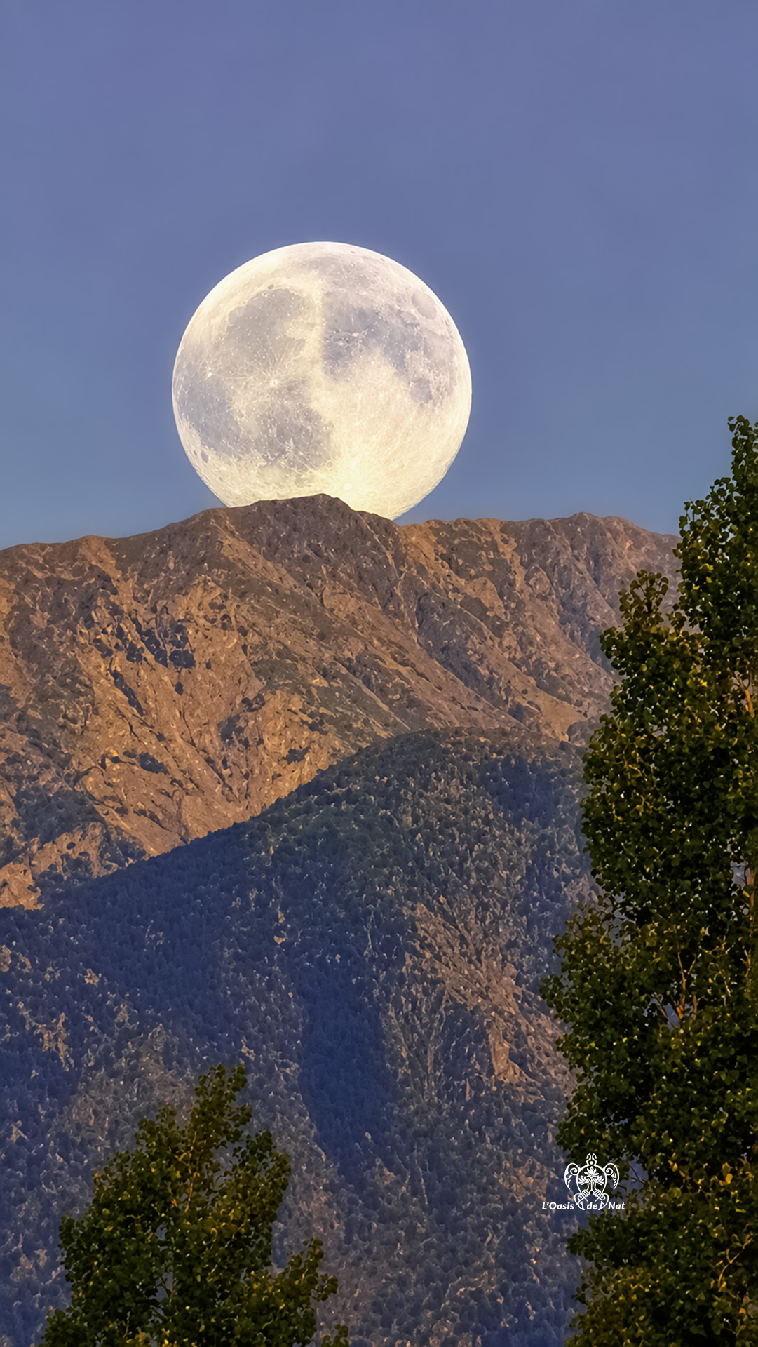 COUCHER DE LUNE SUR CANIGOU_03