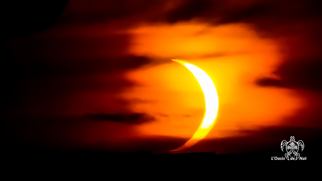 Carnet d’été 2026 – Ep 7 –Éclipse solaire 12 aout
