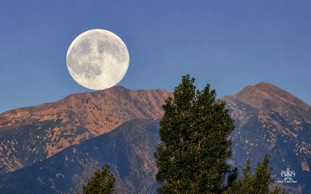 Carnet d’été 2026 – Ep 9 –Éclipse de Lune sur le Canigou