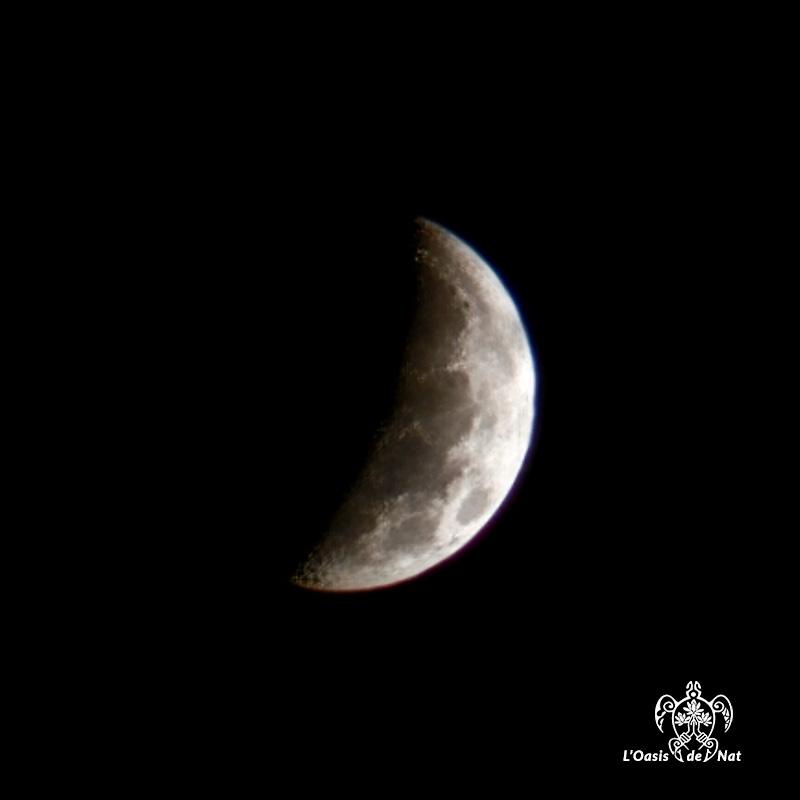 ECLIPSE 28 AOUT 2026_05